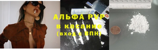 индика Баксан