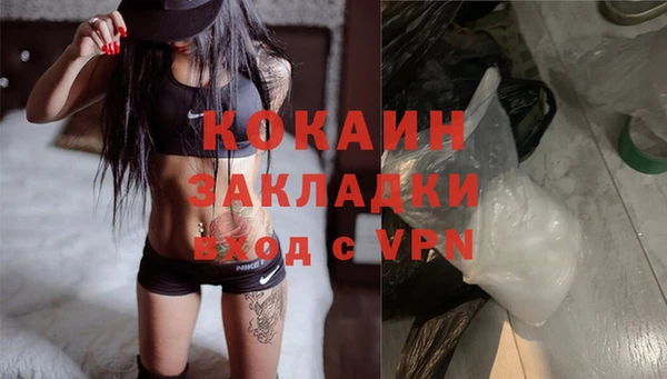 индика Баксан